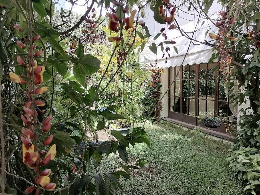 Villa La Casa De La Abuela Antigua