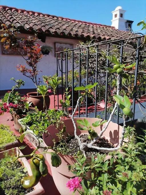 Villa La Casa De La Abuela Antigua