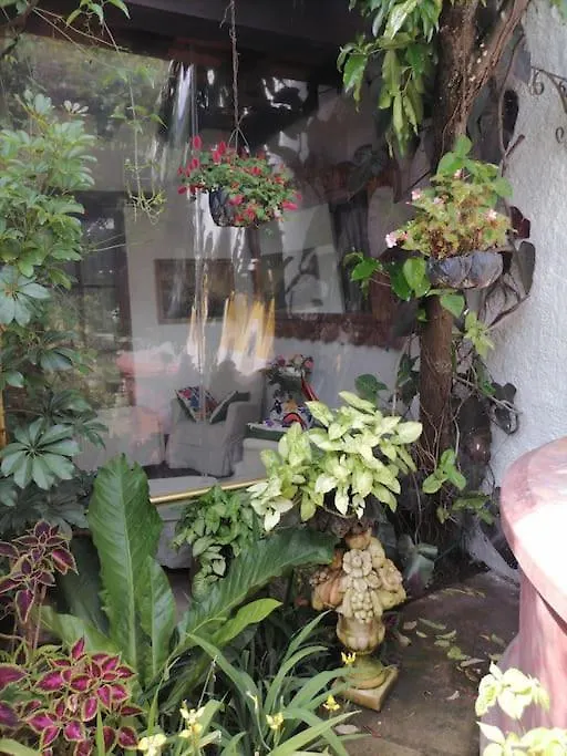 Villa La Casa De La Abuela Antigua Guatemala