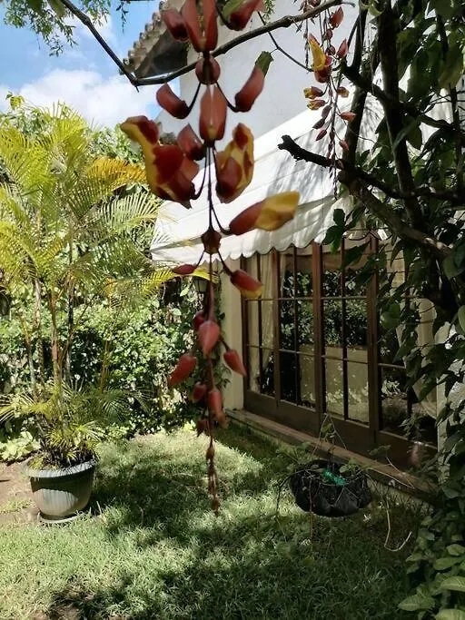 Villa La Casa De La Abuela Antigua Guatemala