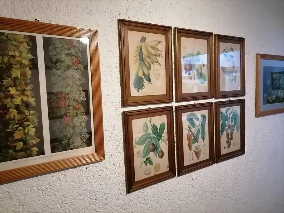 Villa La Casa De La Abuela Antigua