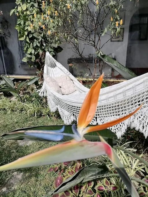 Villa La Casa De La Abuela Antigua